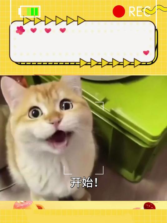 我现在,心情很糟糕,想出去抓点小鱼当夜宵!