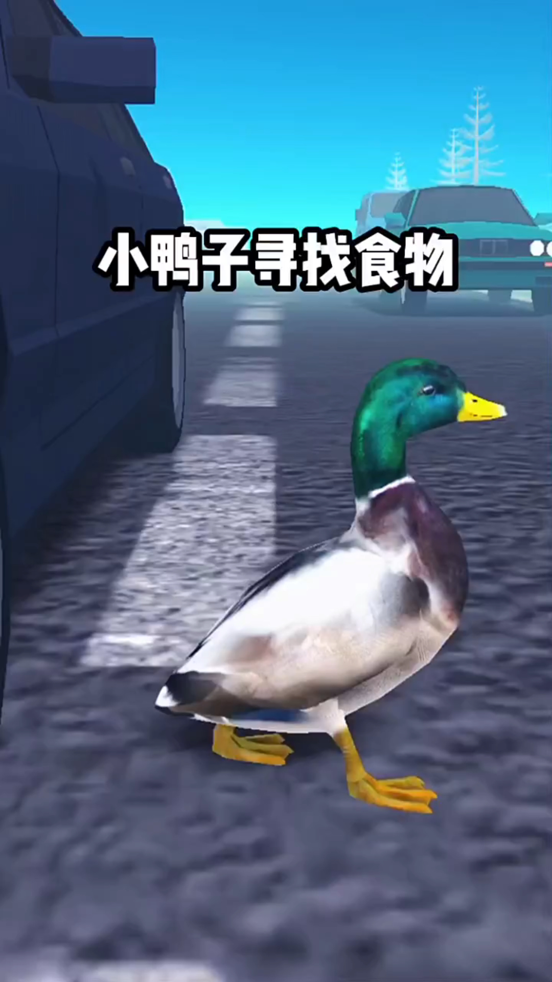 小鸭子寻找食物