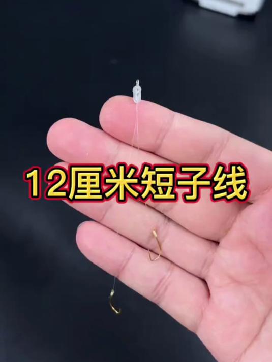 倍特锋12厘米短子线双钩成品绑好抗走水金袖伊势尼钓鱼钩