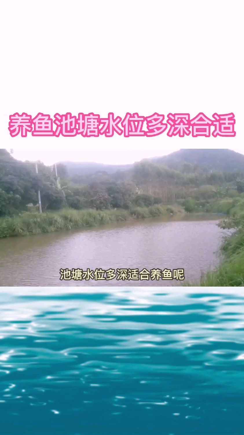 养鱼池塘水位多深合适