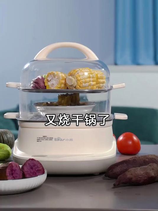 家用多功能电蒸锅