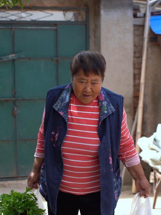 芹菜肉丁包子