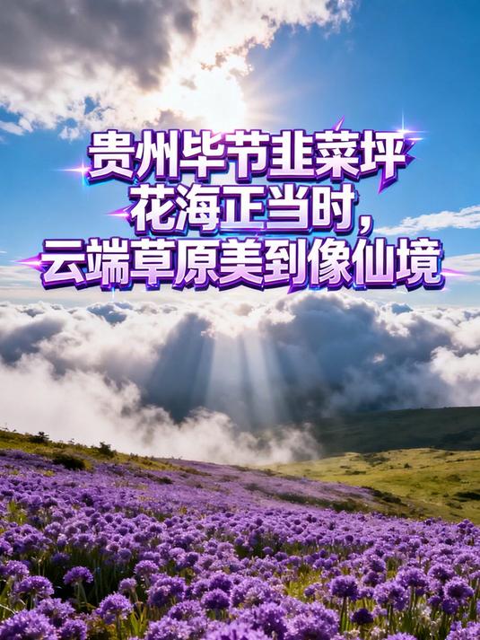 贵州毕节韭菜坪花海正当时,云端草原美到像仙境