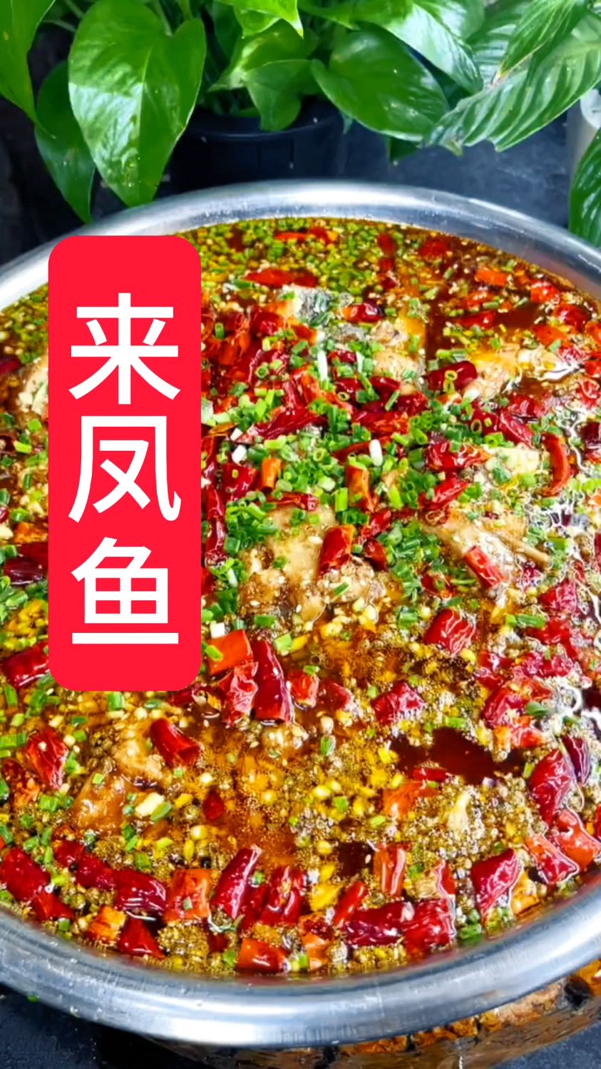这样做的来凤鱼～麻辣鲜香,吃起那叫个过瘾!跟我一起学做吧#美食#川味家常菜#水煮鱼