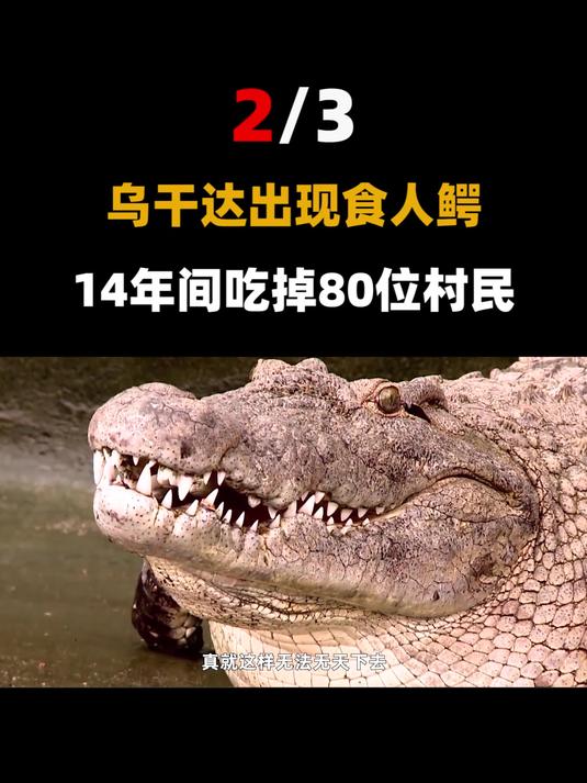 乌干达村落的“鳄鱼吃人”事件整整持续了14年,最后的结局竟是?