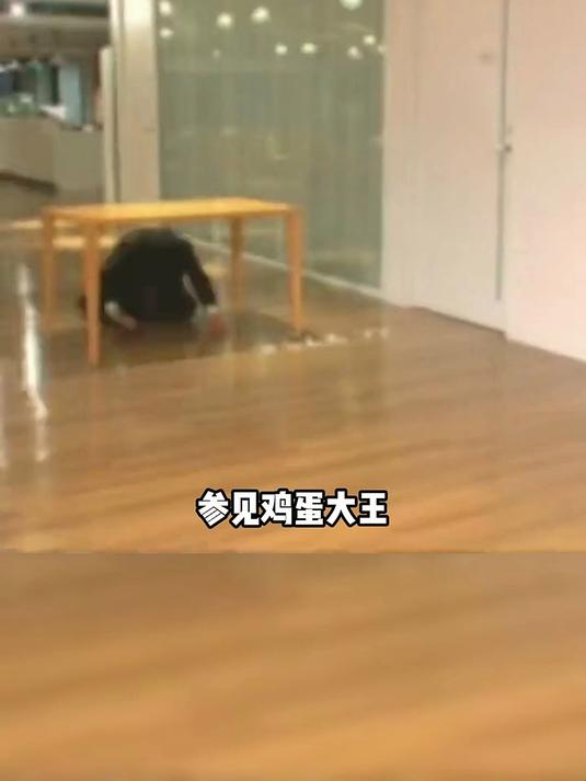 拜见鸡蛋大王大王万蛋万蛋万万蛋 鸡蛋 爱吃蛋 吃货