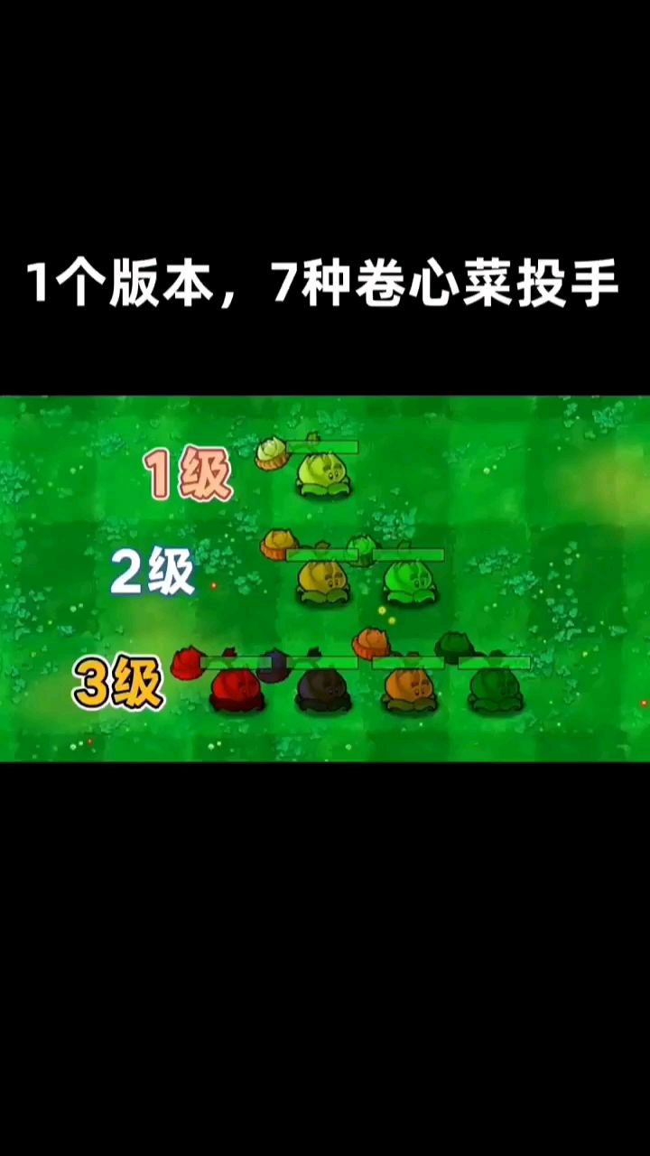 七种卷心菜投手～视频1