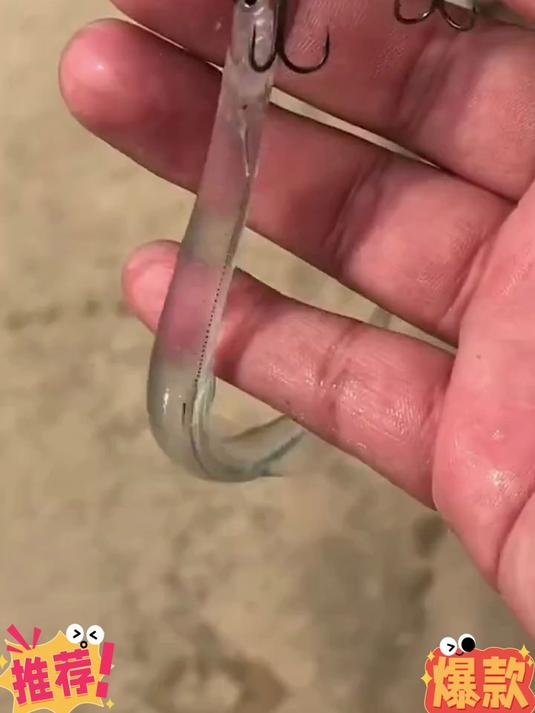 小银鱼大鲜味!补钙营养,做汤炒蛋鲜到舔!