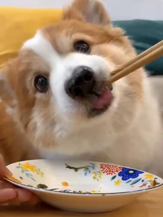 爱喝汤之十西洋菜陈肾鸡脚汤