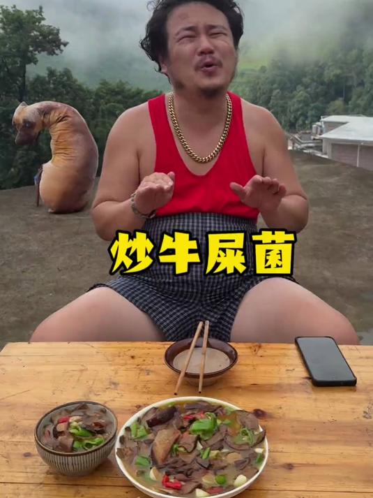 看我云南老婆如何给我炒牛屎菌