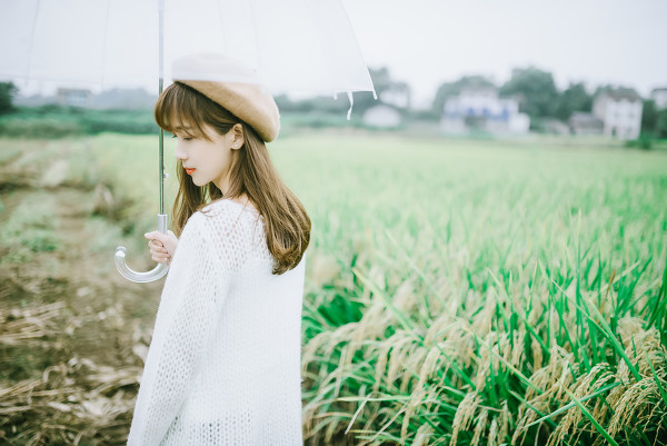 图片[2]-七里香-六色网