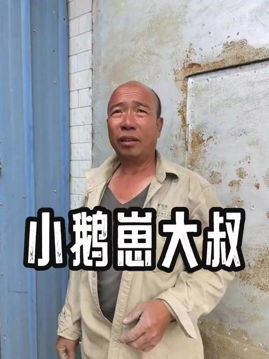 今天回屯子去整小鹅崽儿,给我姐夫养,就等落雪了