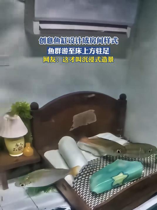 创意鱼缸设计成房间样式,鱼群游至床上方驻足