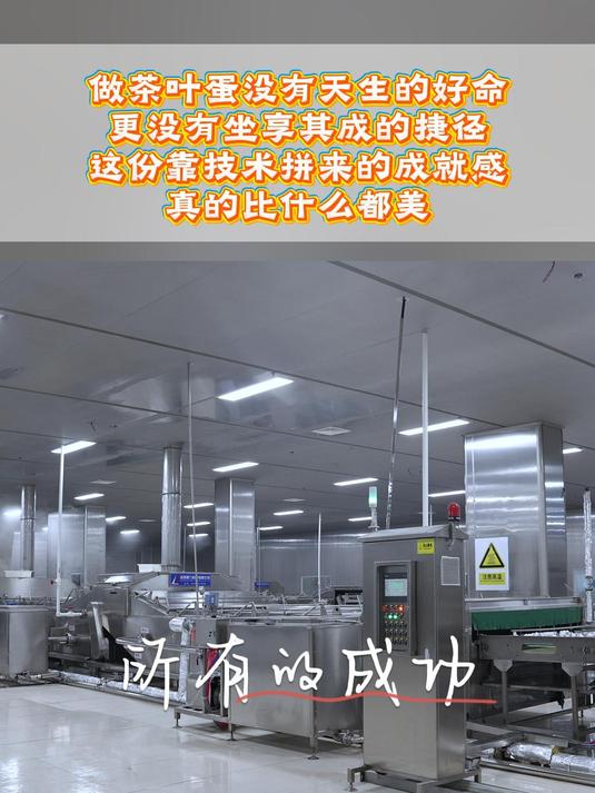 深耕、钻研,只为做出好产品。茶叶蛋 卤蛋生产厂家 虎皮鸡蛋