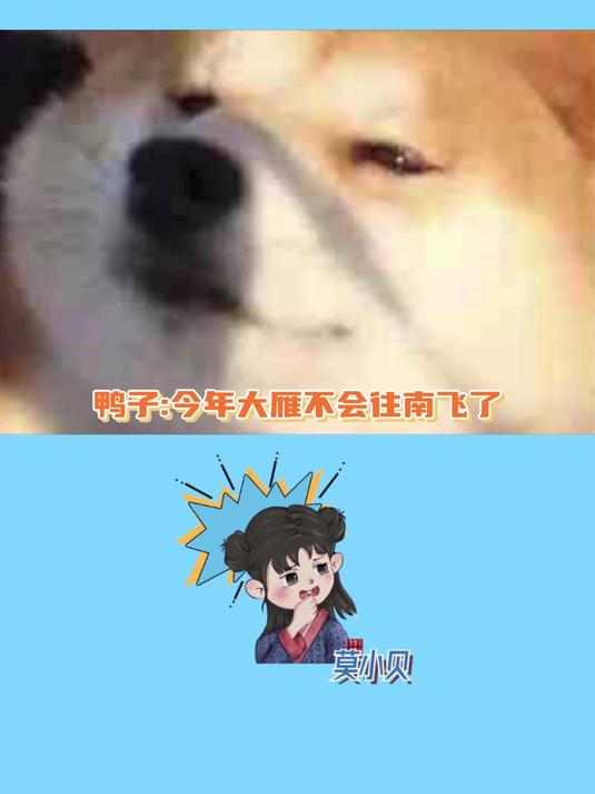 鸭子:潜行不是道别,而是牢底你还得再练 笑喷了 名场面