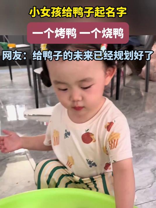 给鸭子起名字,一个烤鸭 一个烧鸭,网友:给鸭子未来已经规划好了