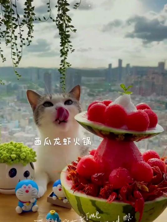 西瓜龙虾火锅你吃过吗