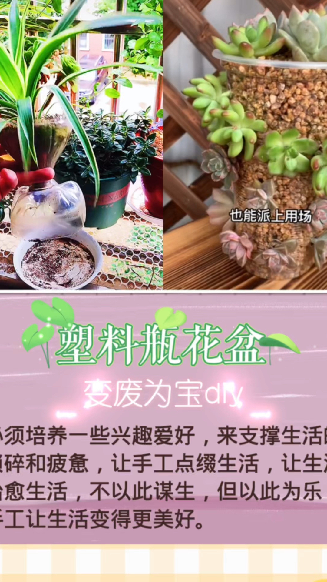塑料瓶改造花盆,电烙铁是个好帮手,奶茶杯也能做成多肉花盆