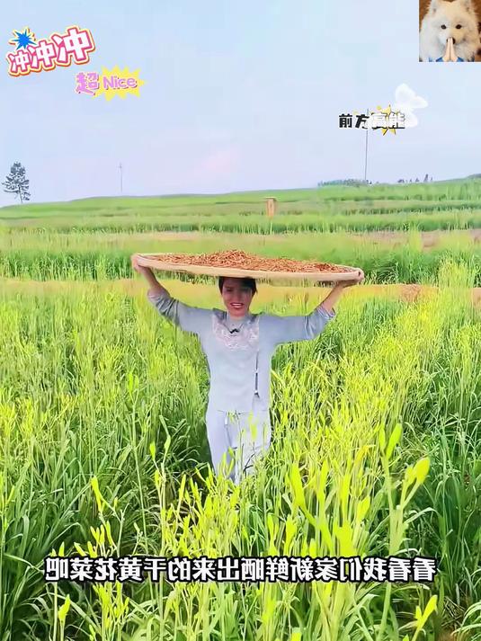 这是我们家蒸熟后晒干的黄花菜泡发后用来炖鸡炖排骨香的很！