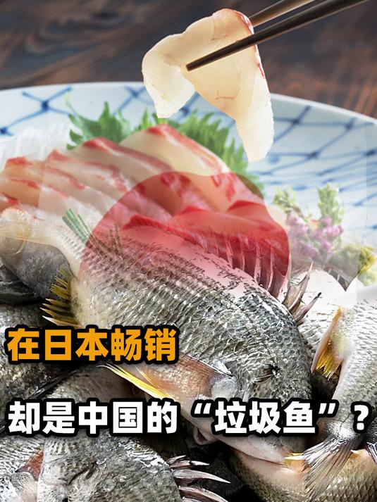 罗非鱼怎么了?为何很多人“歧视”罗非鱼,还称它为“垃圾鱼”?