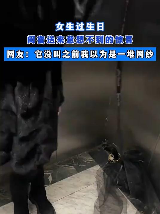 女生过生日闺蜜送来意想不到的惊喜,它没叫之前我以为是一堆网纱
