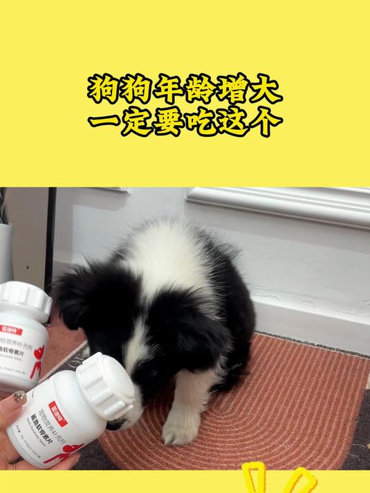 鲨鱼软骨素葡萄糖胺关节宝 缓解犬髋关节疼痛 大型犬老年犬软胶囊