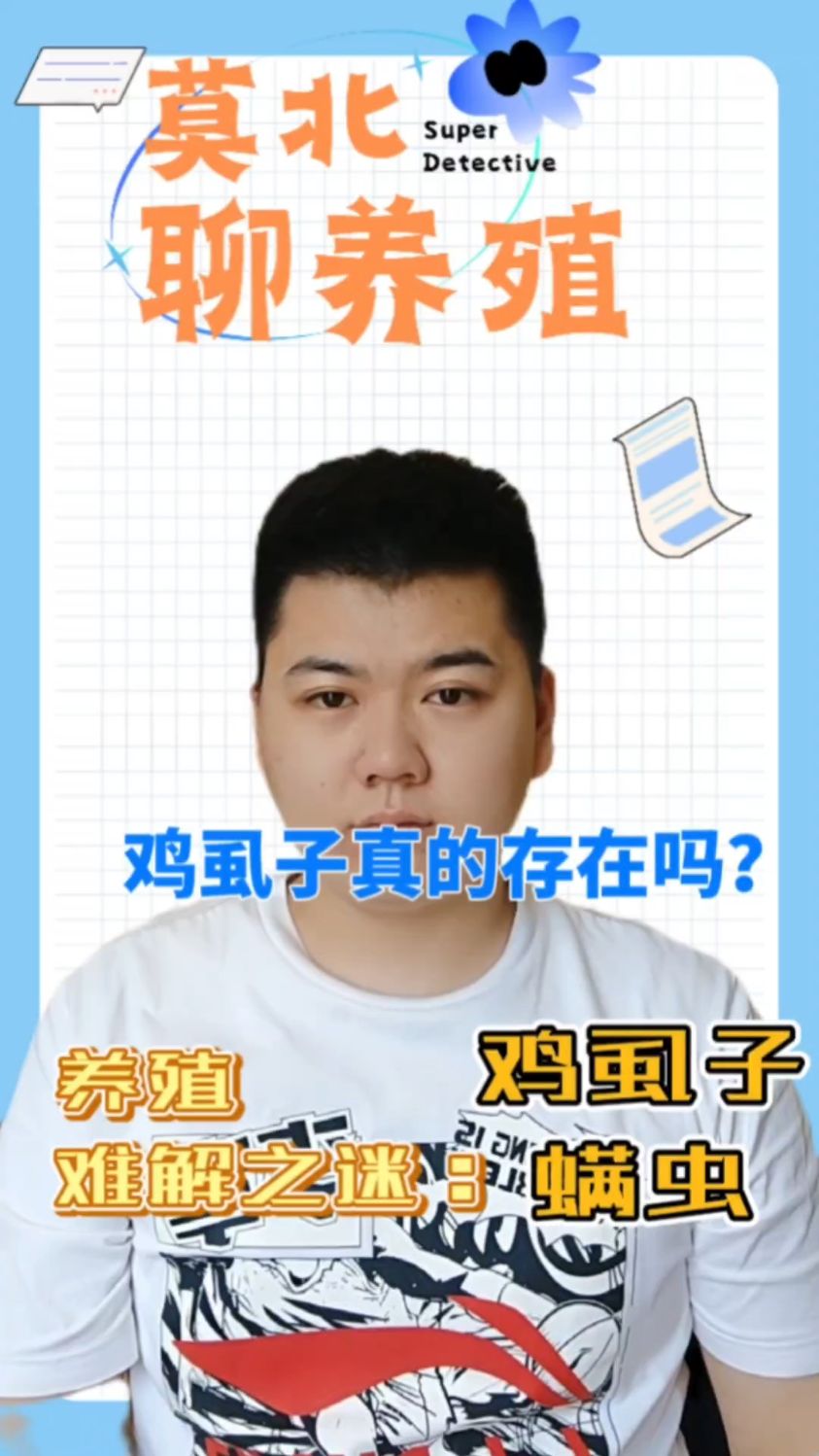 #鸡虱子怎么去除方法鸡上长虱子怎样消灭鸡身上有很多虱子怎么办鸡身上有虱子怎么办
