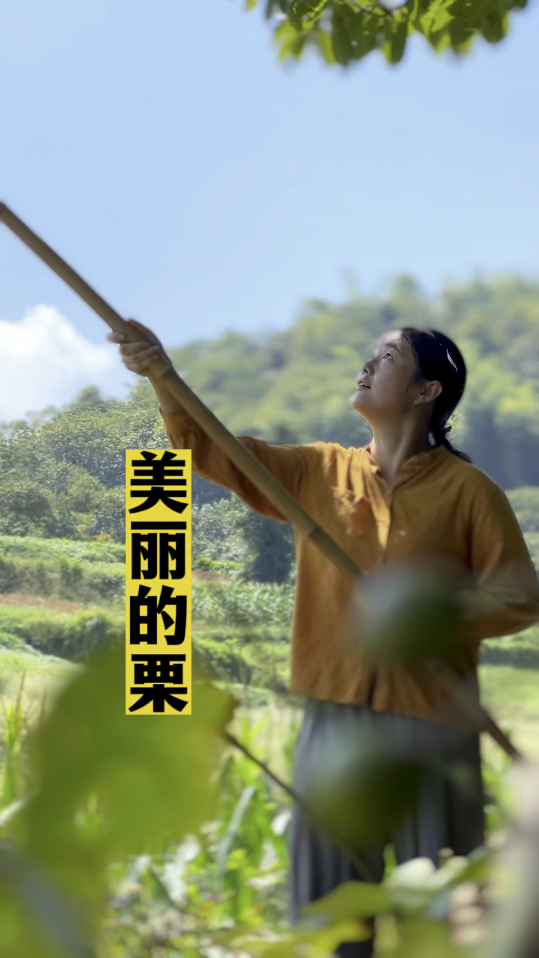 到底是京菜、不辣的川菜?还是杭帮菜?