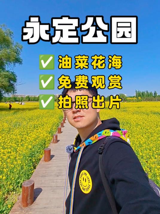 北京免费油菜花海,赏花全攻略,赶快收藏起来
