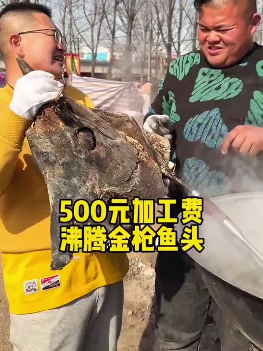 500元加工咸金枪鱼头#春日食味记#