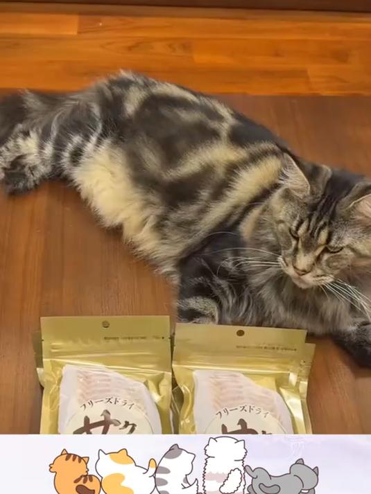 鳕鱼冻干新口味,地狱厨房,宠物零食新体验!