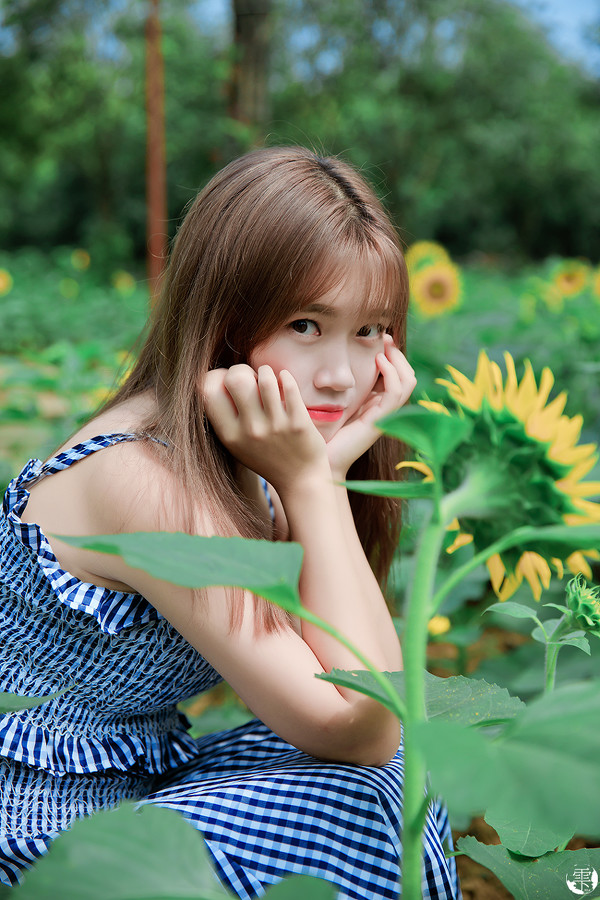 向日葵的少女-六色网