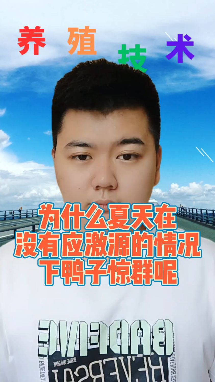 #鸭子应激反应的症状是什么鸭子受惊吓后不进食怎么办鸭子受惊吓后几天恢复鸭子受惊吓