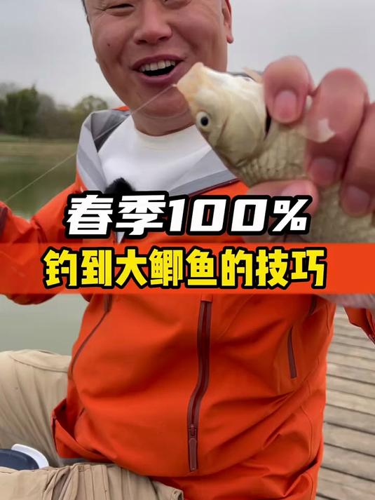 春季100%钓到大鲫鱼的技巧
