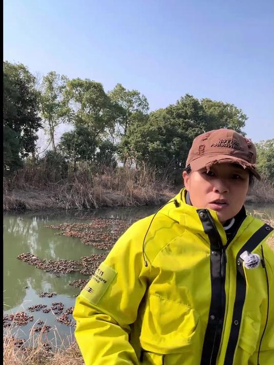 小野河钓大鲫鱼#野钓