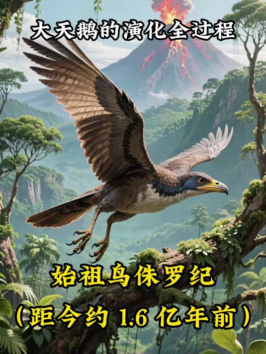 大天鹅演化全过程大公开!