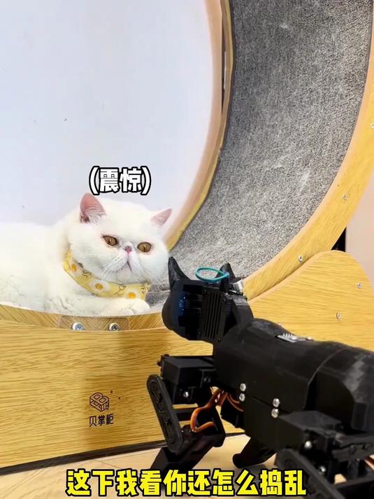 我服了我刚买的机器猫……童童真的太过分了！你给我等着！