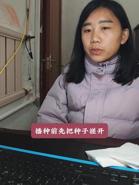 香菜种不好?这些窍门让你的香菜郁郁葱葱!