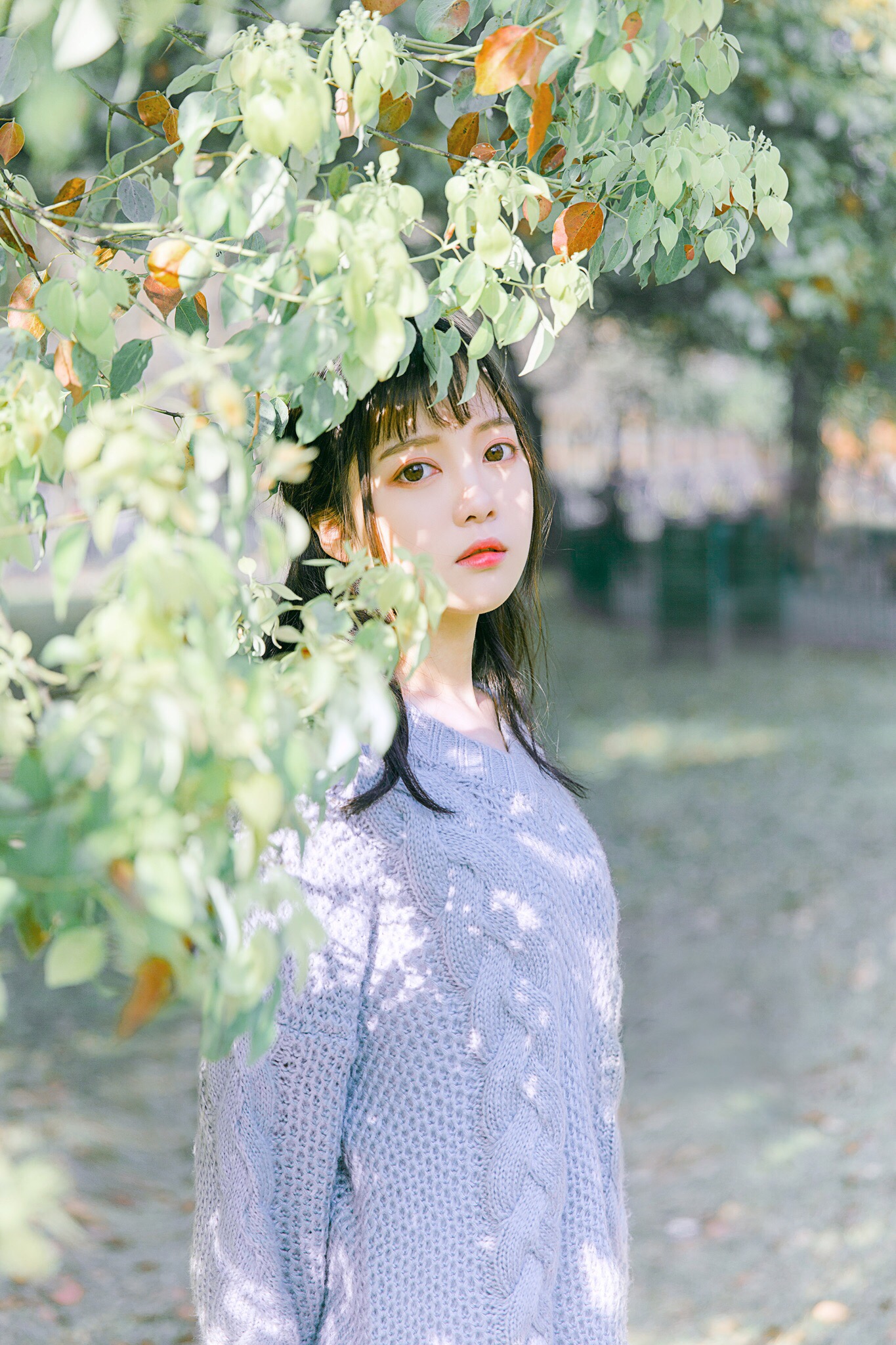 图片[22]-青柠女孩-六色网