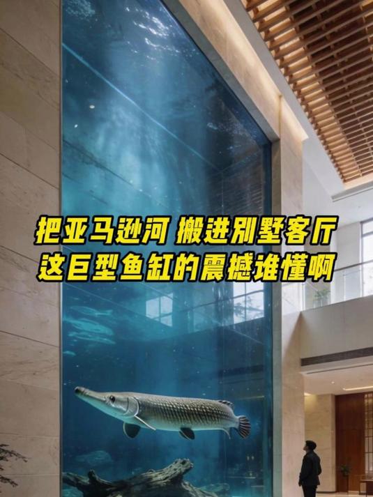 把 “亚马逊河” 搬进别墅客厅？这巨型鱼缸的震撼谁懂啊？