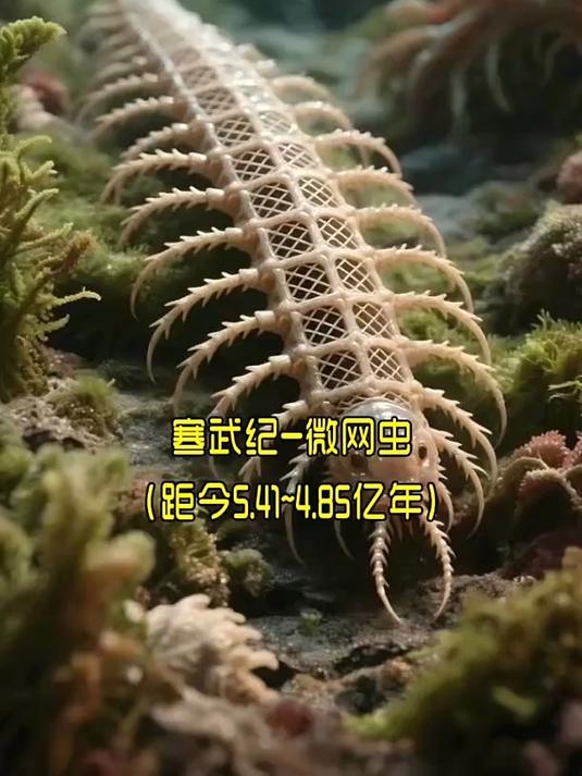 第12集狮子的进化史