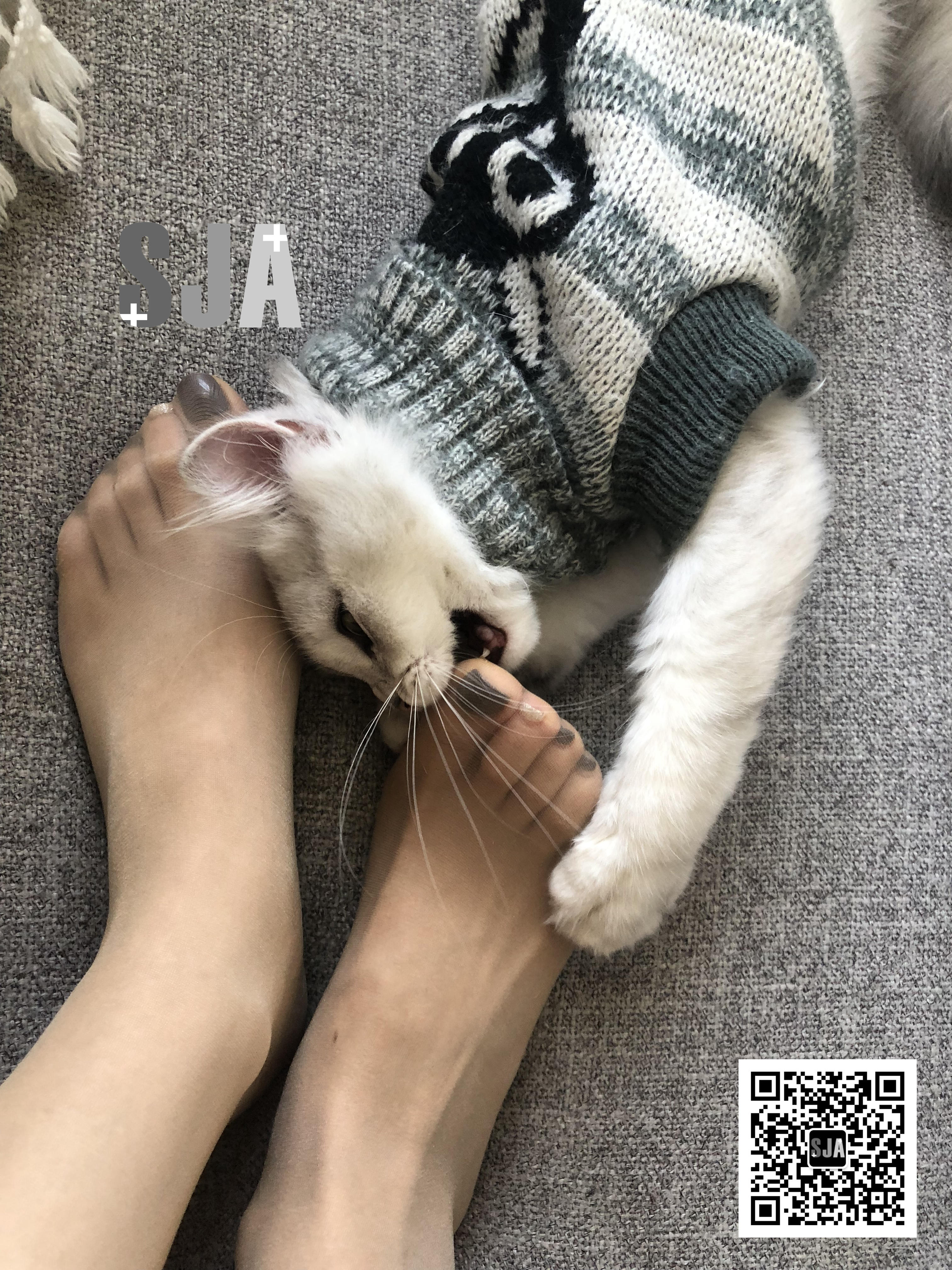 图片[24]-[SJA佳爷]闺蜜视角 NO.013 喵 [60P+81M]-六色网