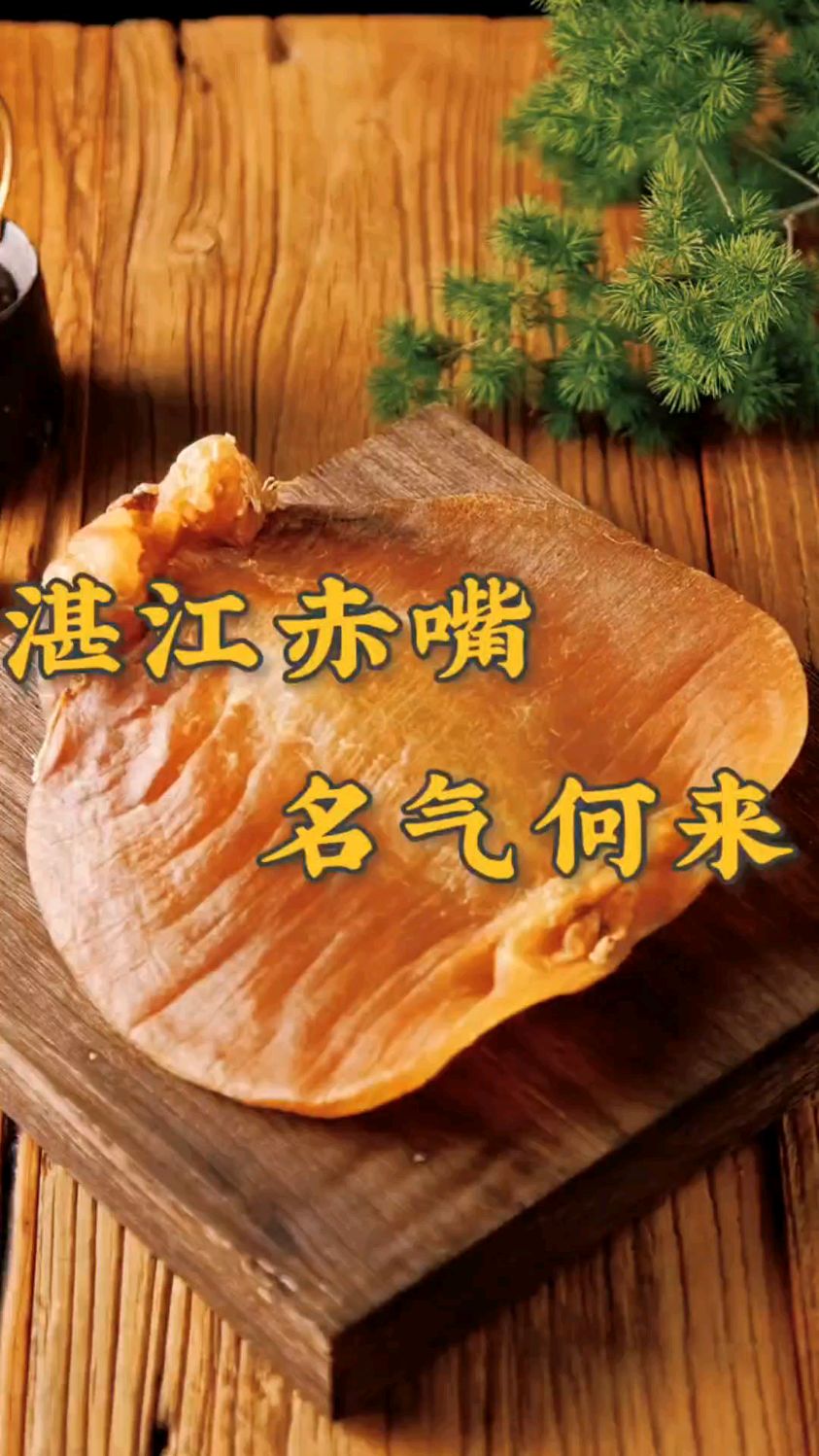 第14集:听湛江赤嘴鱼胶故事,才知它的名气从何而来当地手工造型而命的名。