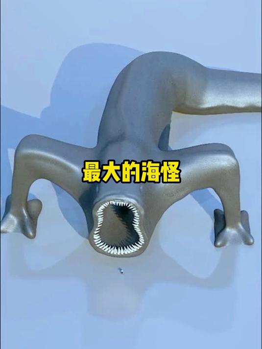 你知道最大的海怪有多大吗