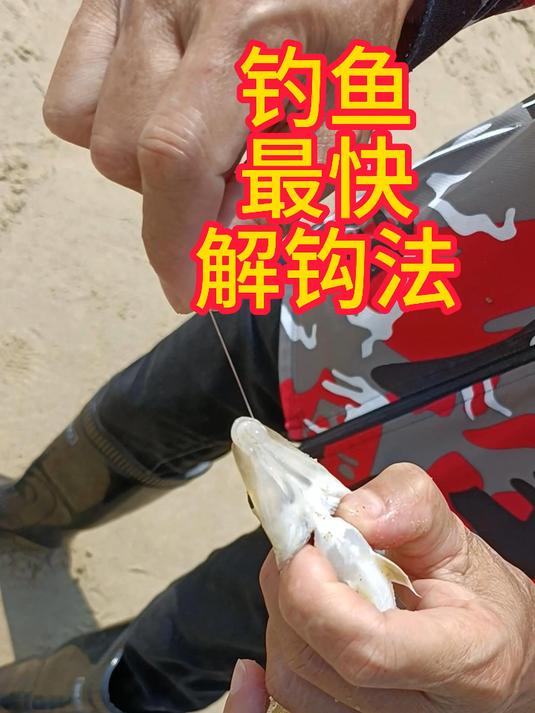 钓沙尖鱼解钩法