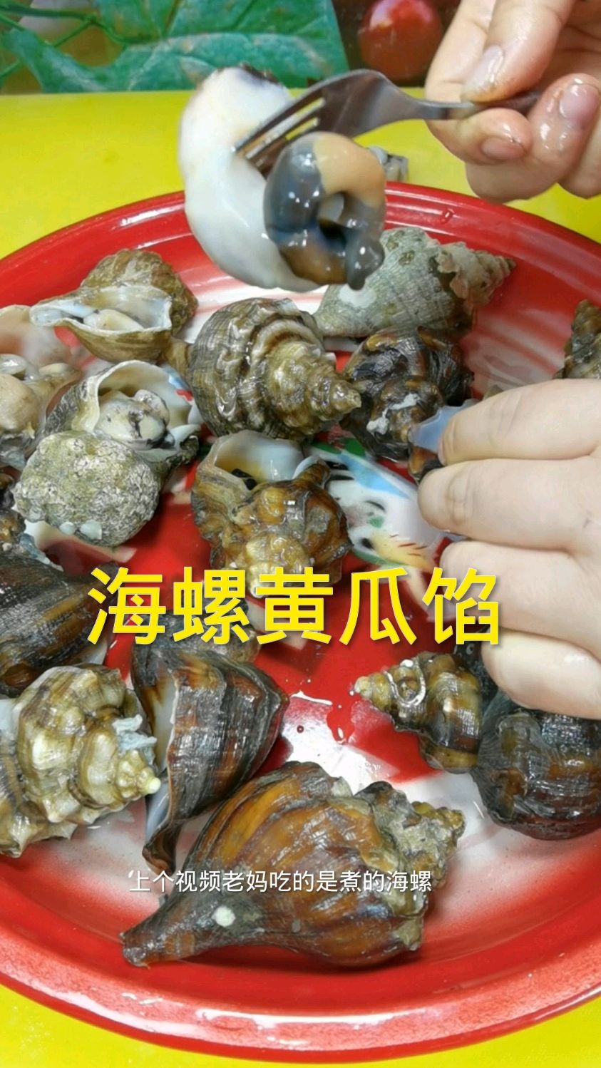海螺黄瓜馅水饺