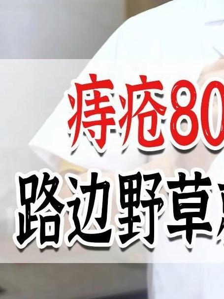 痔疮80%不用开刀,路边野草就是对症良药 痔疮 中医养生 马齿苋