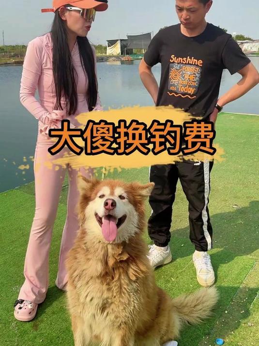 拿狗换钓费,直接把鱼塘老板整懵……