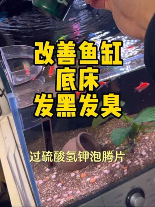 鱼缸底砂脏污咋处理?过硫酸氢钾泡腾片来分解!