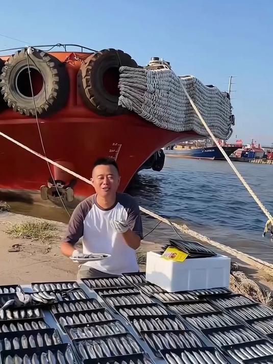 深海多春鱼，满籽捕捞，锁鲜发货，鲜味儿不流失！